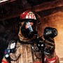 FLIR Kxx, Camera termoviziune profesionala pentru pompieri